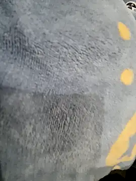 Snapshot of Boyshow88 chatting on February 2026 03:17:02 PM Boyshow88 online show from February 2026 03:17:02 PM