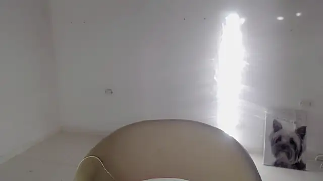 Stein  online show from September 2025 11:55:02 AM