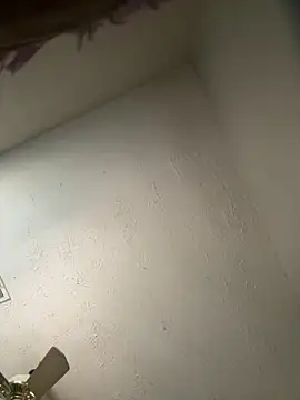 honestlychina online show from October 2025 01:52:01 PM