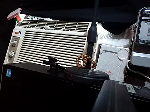 Madylinebigcock69 online show from March 2026 04:39:01 AM