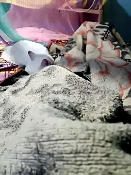 Snapshot of m11a2f3a4z5 chatting on February 2026 11:51:01 AM m11a2f3a4z5 online show from February 2026 11:51:01 AM