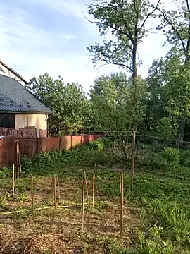Alekseycv11 online show from May 2026 04:35:01 PM