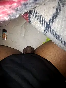 REALLY8430 online show from February 2026 11:31:02 PM