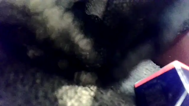 Evieskyyxh online show from November 2025 10:49:02 AM