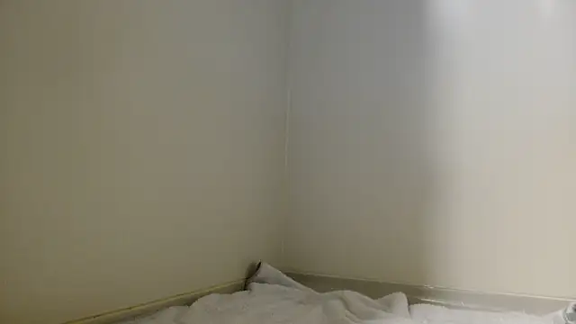 Snapshot of shint-11 chatting on October 2025 11:44:02 AM shint-11 online show from October 2025 11:44:02 AM