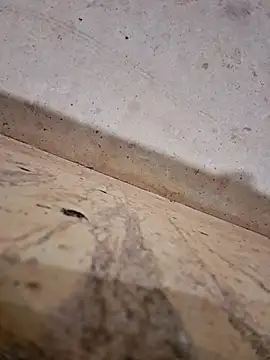 Snapshot of Negodabenga chatting on December 2025 12:27:01 AM Negodabenga online show from December 2025 12:27:01 AM