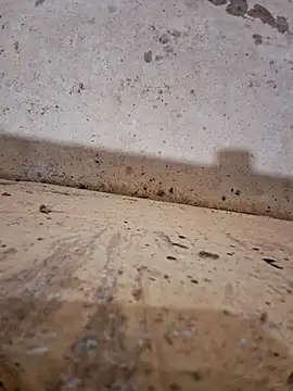 Snapshot of Negodabenga chatting on December 2025 11:33:02 PM Negodabenga online show from December 2025 11:33:02 PM