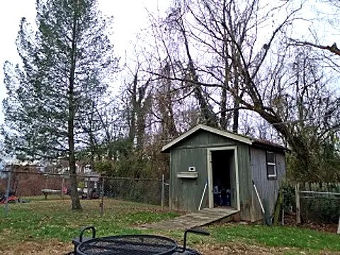 sloppytopkins online show from November 2025 03:33:01 PM