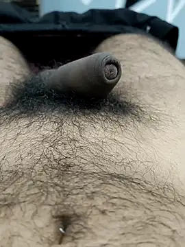 Bull54321 online show from September 2025 04:47:01 AM