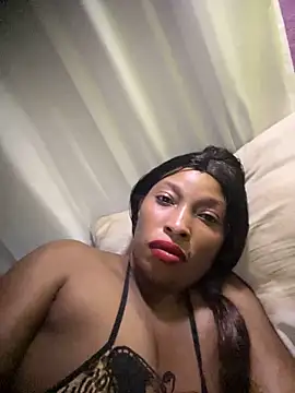 kinghtwalker online show from November 2025 02:06:01 AM