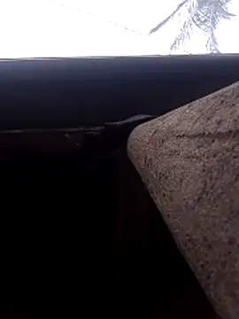 lady helen00 online show from November 2025 06:55:01 AM