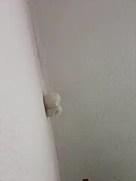 Snapshot of saranghae_ chatting on March 2026 03:09:01 AM saranghae online show from March 2026 03:09:01 AM