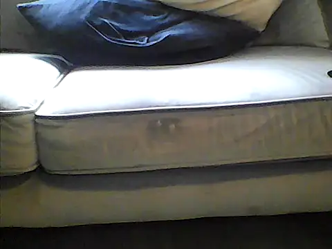 perlados online show from June 2026 10:51:02 AM