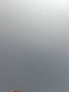 Cut rajbati online show from November 2025 06:16:02 AM