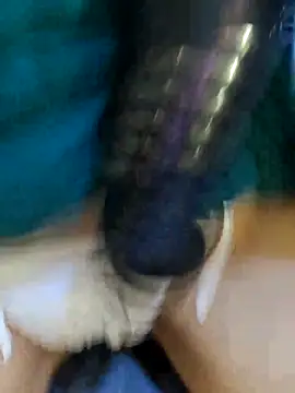 Bee sweet online show from February 2026 09:41:01 AM