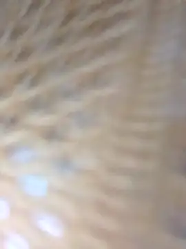 Monika Telugu Girl online show from September 2025 12:37:01 PM