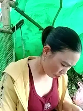 cicnci online show from November 2025 01:38:02 AM