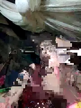 cicnci online show from November 2025 10:26:01 AM