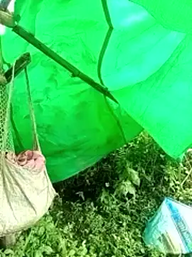 cicnci online show from November 2025 02:32:01 AM