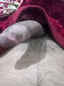 Abodi12aa77 online show from October 2025 11:46:02 PM