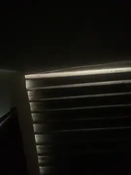 Snapshot of envolvemteX chatting on March 2026 10:17:02 AM envolvemteX online show from March 2026 10:17:02 AM