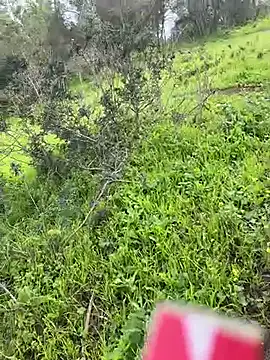 Snapshot of Yasar-Xxxl chatting on March 2026 03:52:01 PM Yasar-Xxxl online show from March 2026 03:52:01 PM