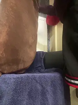 Snapshot of Yasar-Xxxl chatting on March 2026 03:29:01 PM Yasar-Xxxl online show from March 2026 03:29:01 PM