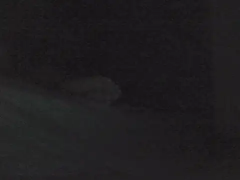 Snapshot of sarahkat86 chatting on October 2025 01:01:02 PM sarahkat86 online show from October 2025 01:01:02 PM