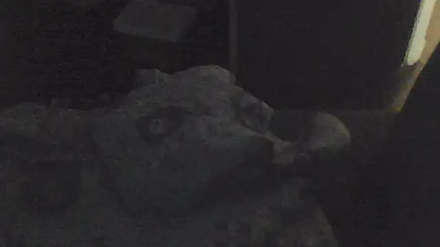 Snapshot of sarahkat86 chatting on November 2025 02:05:04 PM sarahkat86 online show from November 2025 02:05:04 PM