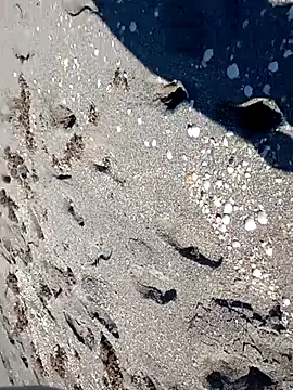 Snapshot of sarahkat86 chatting on November 2025 06:28:01 PM sarahkat86 online show from November 2025 06:28:01 PM