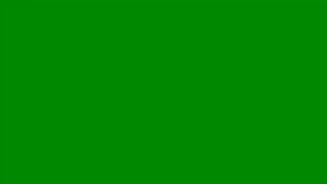 Ziphoo2 online show from April 2026 05:40:01 AM