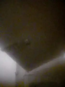 bullut06 online show from January 2026 11:45:02 AM