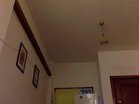 Snapshot of CaiBull chatting on September 2025 08:36:01 PM CaiBull online show from September 2025 08:36:01 PM