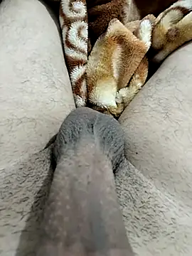 Zepe 12 online show from February 2026 11:55:02 PM