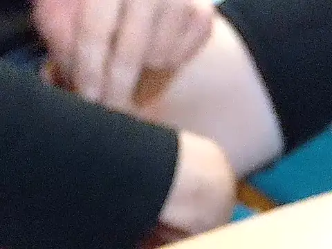 silagrasteif- online show from October 2025 02:29:02 PM