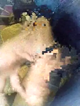 moroooooooo12 online show from November 2025 03:16:02 PM