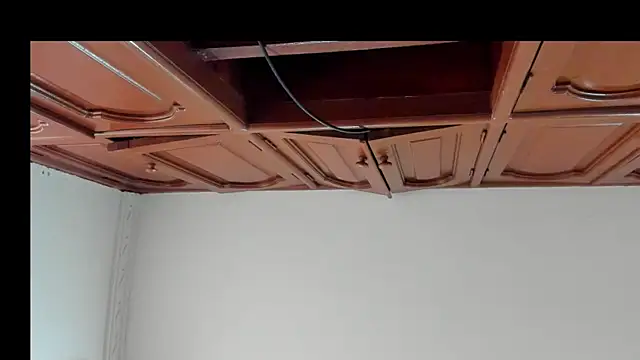 alice  brow online show from October 2025 02:04:01 PM