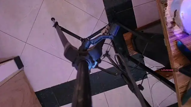 Terraelowen online show from November 2025 11:20:02 AM