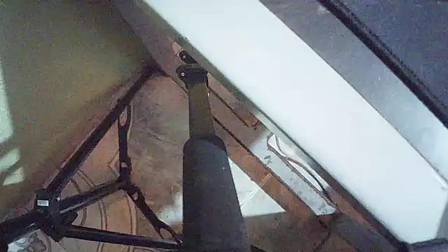 Terraelowen online show from March 2026 01:05:02 PM