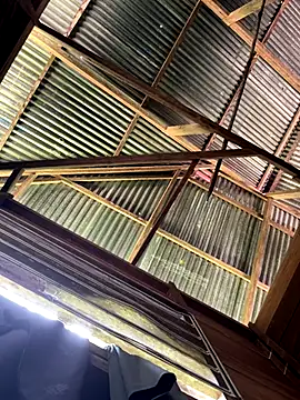 Alabestia12 online show from December 2025 03:09:02 PM