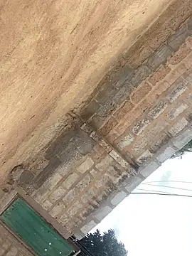 Jaydemasked online show from November 2025 11:35:01 AM