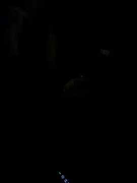 Snapshot of HorneyCowboy154 chatting on February 2026 04:11:01 AM HorneyCowboy154 online show from February 2026 04:11:01 AM