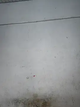 Your-Samayra online show from September 2025 09:32:02 AM