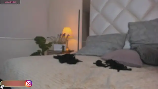 Megan DH online show from October 2025 12:28:02 PM