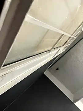 Emily Rivers  online show from January 2026 01:17:02 PM