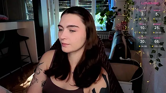 dorfmatratze   online show from October 2025 07:39:01 AM