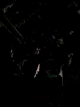 Snapshot of Kevintdx chatting on September 2025 03:42:02 AM Kevintdx online show from September 2025 03:42:02 AM