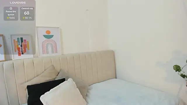  shaiira online show from January 2026 01:17:02 PM