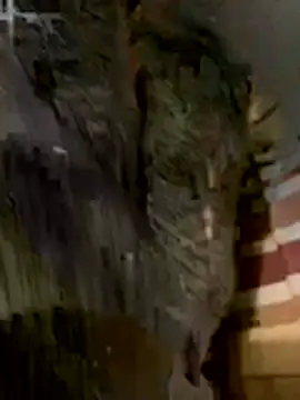 anhye8 online show from February 2026 03:37:02 PM