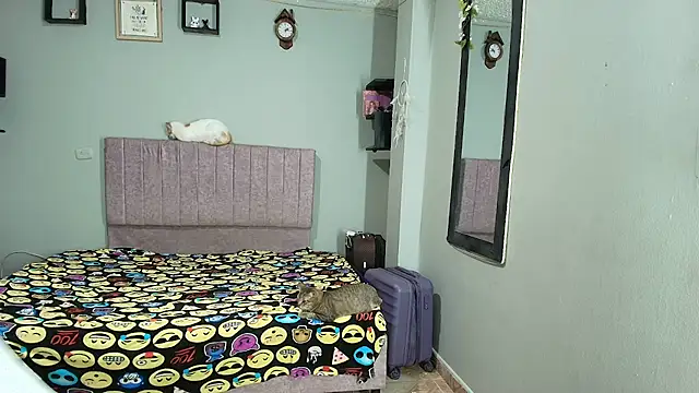 MiSofialeal online show from July 2026 07:16:01 PM